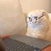 HJP的个人资料头像