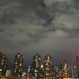 正大光明小猫0t7头像