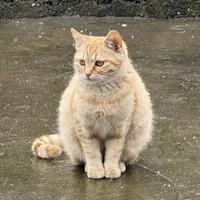 太好了孩子头像