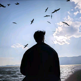 清风未央cc头像