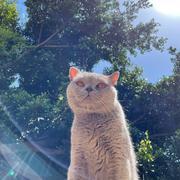 用户7342240040526的个人资料头像