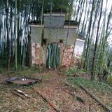 只想静静地头像
