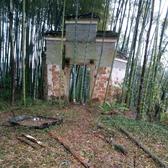 只想静静地头像