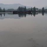 无天770头像