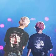 九歌561的个人资料头像