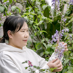 笑笑姐家的花园头像