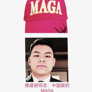 维建胡同志MAGA头像