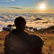 Z_z的个人资料头像