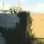 muggle0的个人资料头像