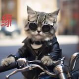 汤姆森许头像