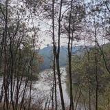 直率冰淇淋D5W头像