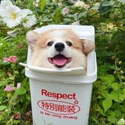 今天又是周一的个人资料头像