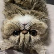 Mr子潇的个人资料头像