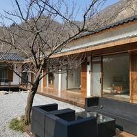 返不回去了头像