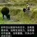 枯叶飘零689头像