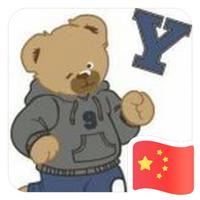 YS2405头像