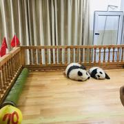 唐宋元明清717的个人资料头像