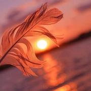 阿九875的个人资料头像