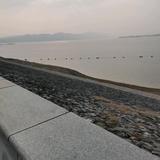 坦荡大华头像