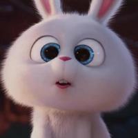 丿Mustang丶9头像