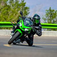 爱画画的跆拳道教练头像