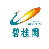 懂车皮皮虾头像