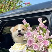 橘子海562的个人资料头像