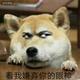模头人头像