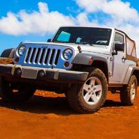 小小鱼鱼8899头像