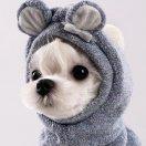 喝喝咖啡看看书的个人资料头像