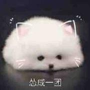 怂成一团的个人资料头像