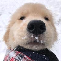 用户9717796191110头像