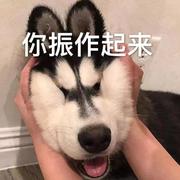 hunter3533的个人资料头像