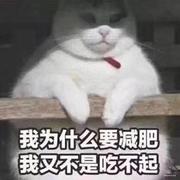 木鱼花i的个人资料头像