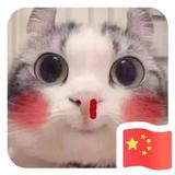 阿斌8335头像