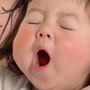 铁锤妹妹i的个人资料头像
