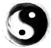 木行的个人资料头像