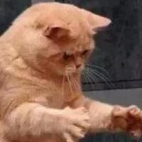 单纯松鼠lV头像