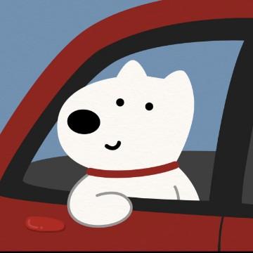 安安聊车日记头像