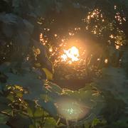 TRASH61的个人资料头像