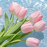 熊二爱吃陈皮头像