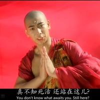 阿白6449头像