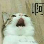 爱的战士的个人资料头像