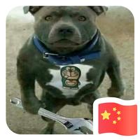 梧桐星雨231头像