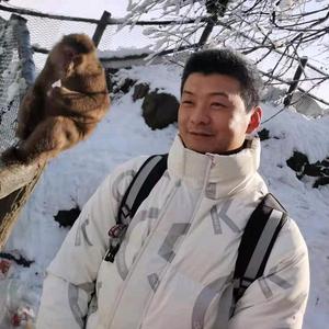 勇敢正直风度头像