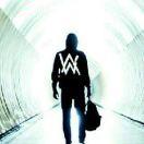 墨既白的个人资料头像