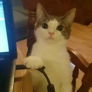 遗失灬回忆的个人资料头像