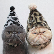 kyz的个人资料头像