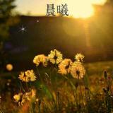 阳光总在风雨后21010头像