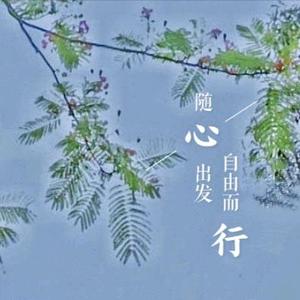 chinanliu头像